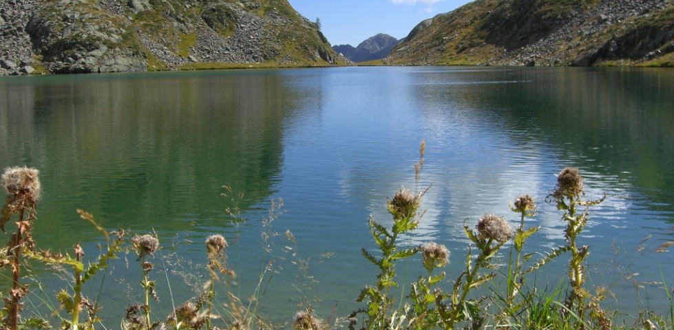 Lago Bianco2.jpg